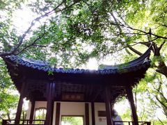 -秋霞圃