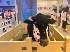 -红星前进面包牛奶公司(君太店)