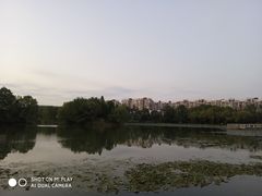 -新江湾城公园