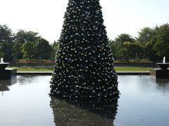 -海南清水湾莱佛士酒店