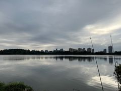 -鹤之洲湿地公园
