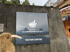 -怀托摩萤火虫洞