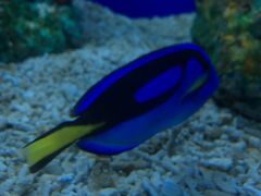 -乌鲁木齐海洋馆