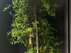 -鑫悦诚府·新鲁菜·餐厅(趵突泉店)
