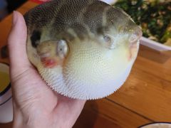 -永安鱼庄·镇江菜(丁卯店)