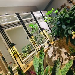 点击看大图 -贝黎诗SPA