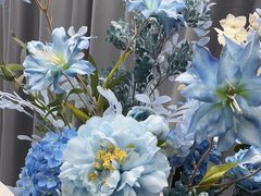 -上海星瀚奔驰4S店(红柳路店)