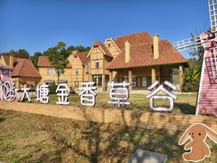 -大塘金香草谷