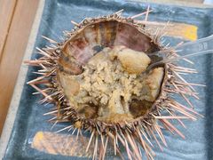 -海胆小馆(东北水饺·春柳店)