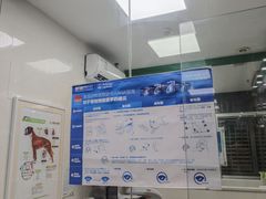 -瑞鹏宠物医院华南总院·夜诊·心脏科·骨科