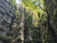 -梭布垭石林景区