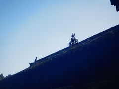 -都江堰普照寺