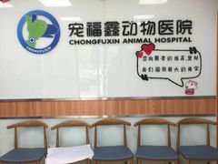 -宠福鑫动物医院(城北分院)