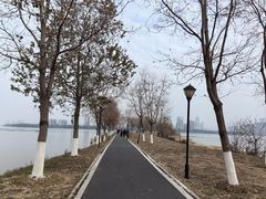 -金银湖国家城市湿地公园