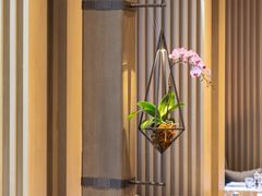 -北京三里屯CHAO酒店