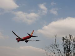 -空港花田景区