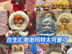 -泡泡玛特POPMART(合生汇店)