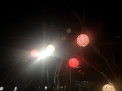 -Ginger(兴国路店)
