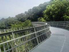 -福道