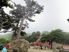 -妙峰山风景名胜区