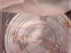 -嘎嘎鸭下巴·爆辣干锅(明教寺店)