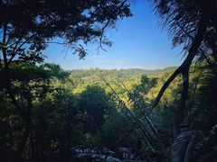 -深圳仙湖植物园