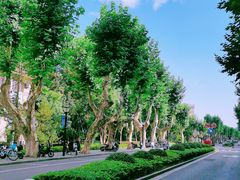 -浙江大学(玉泉校区)