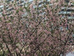 外景-绿城千岛湖喜来登度假酒店