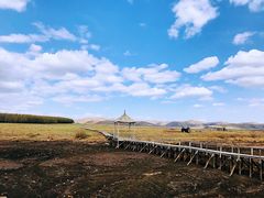 -塞罕坝国家级自然保护区