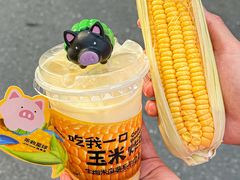 -茶救星球·蔬果茶(北京路旗舰店)