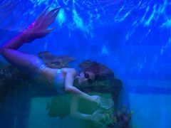 -瑞德姆美人鱼海底演艺主题餐厅(亚龙湾店)