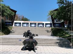 -广东惠东海龟国家级自然保护区