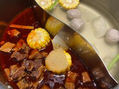 辣卤牛腩鸳鸯锅-汕头八合里海记牛肉店(清河店)