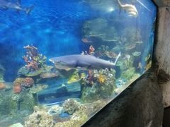 -泉州海丝野生动物世界