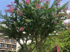 -天河体育中心