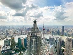 -The lounge 柏悦酒店大堂酒廊(上海环球金融中心店)
