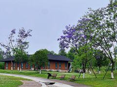 -桂溪生态公园