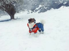 -太子岭滑雪场