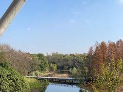 -长广溪湿地公园