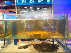 -渔舶汇蒸汽活海鲜·榴莲自助(领展中心城店)
