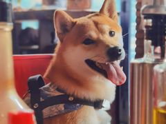 -LA MAISON公鸡和龙(蛇口店)