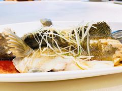 -康大鲤鱼门海鲜城·中餐厅