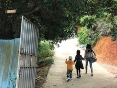 -东莞市大岭山森林公园
