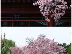 -北海公园