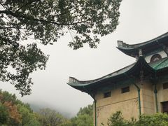 -茶颜悦色(岳麓山顶店)