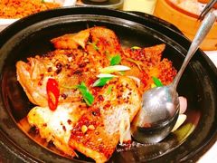 啫啫鲈鱼煲-千日贺茶餐厅(高新万达店)