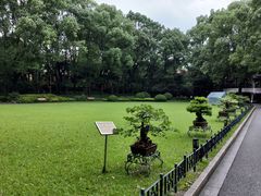 -申粤轩酒楼·三十年粤菜经典(丁香花园店)