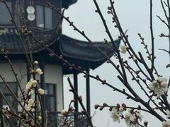 -缥缈峰景区