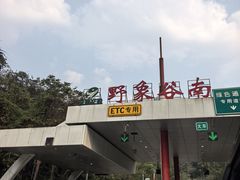 -野象谷景区