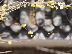 -月坛公园